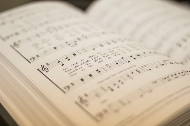 Choosing Between Music Course and Music School, What is Differences?