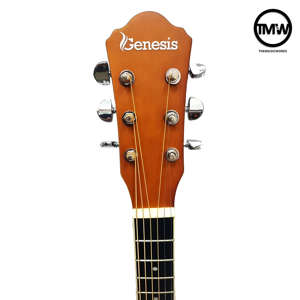 Genesis GMG-300M Acoustic Guitar