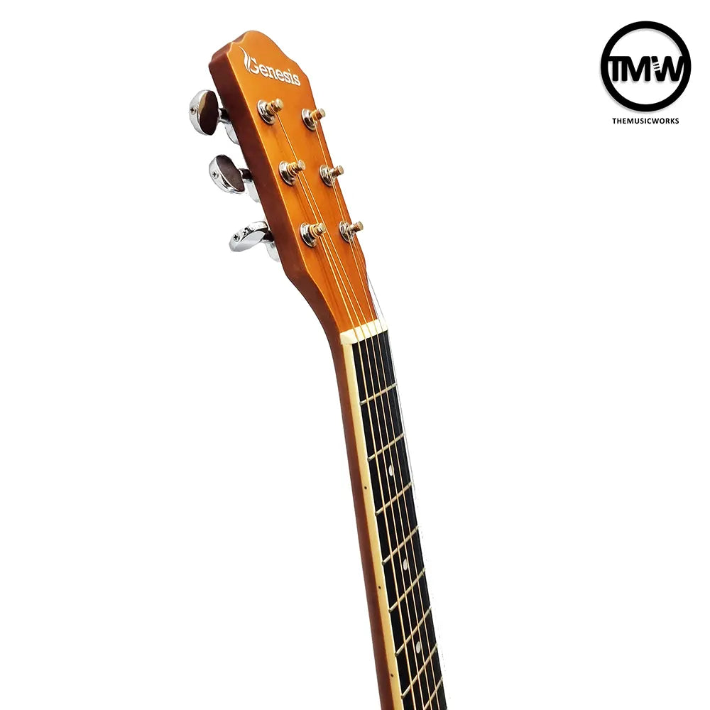 Genesis GMG-300M Acoustic Guitar