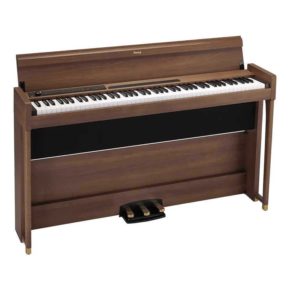 Korg Poetry Digital Piano