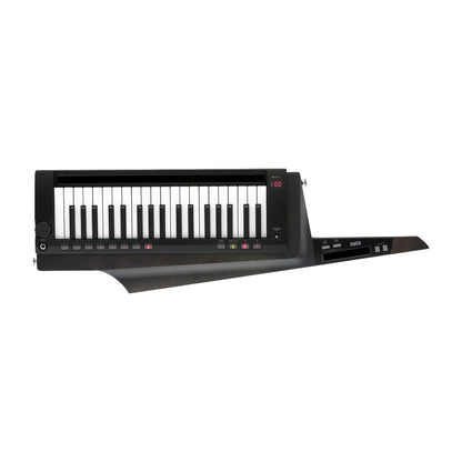 Korg RK-100S-2 Keytar Singapore