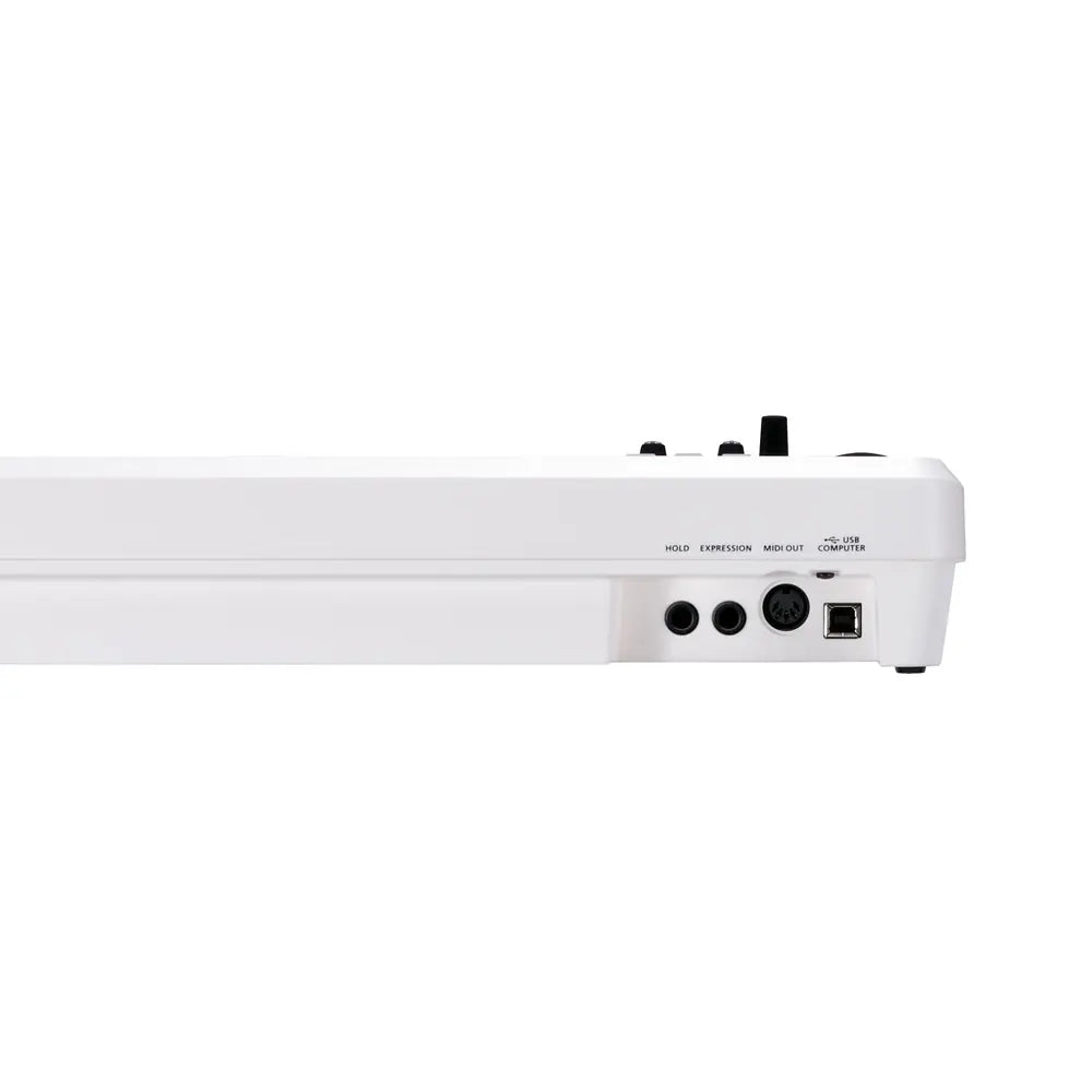 Roland A-49 Midi Controller