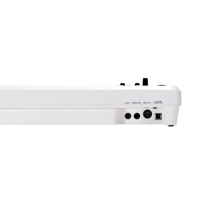 Roland A-49 Midi Controller