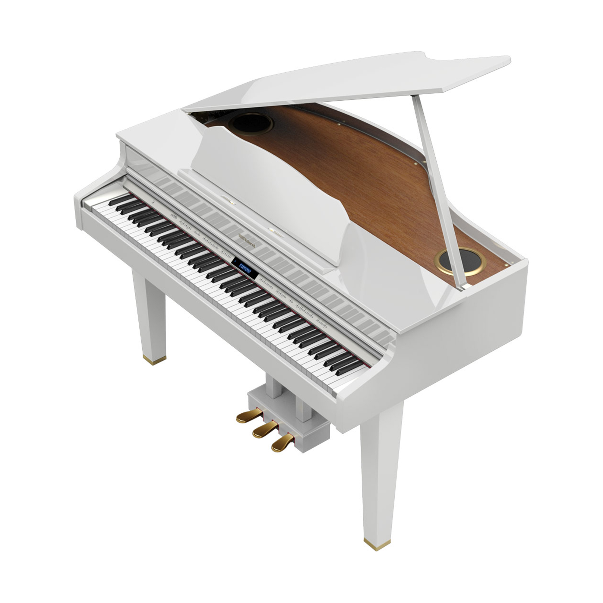 their make it flat Amazon Jungle Roland GP607 Digital Baby Grand Piano | TMW